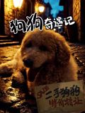 狗狗奇遇記(全集)