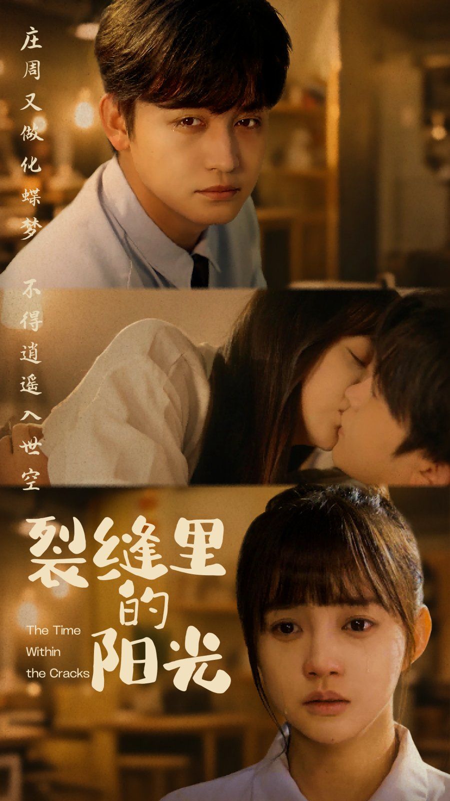 裂縫里的陽光(全集)