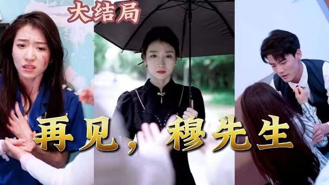 再見(jiàn)，穆先生(全集)