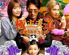 極主夫道 爆笑！砸場(chǎng)子SP