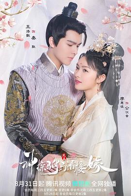 神探駙馬請(qǐng)接嫁第01集