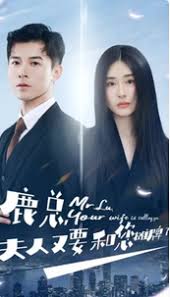 鹿總夫人又要和您攤牌了(全集)