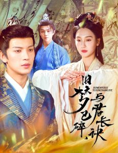 舊夢已碎，與君長訣＆終是深情錯付君(全集)