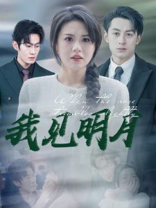 我見(jiàn)明月(全集)