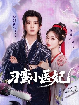 刁蠻小醫(yī)妃(全集)