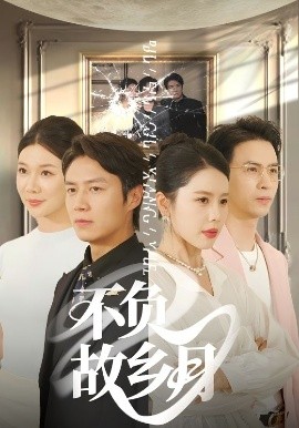 不負(fù)故鄉(xiāng)月(全集)