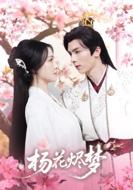 揚(yáng)花燼夢(全集)