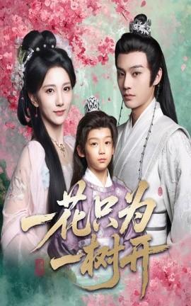 一花只為一樹開(全集)