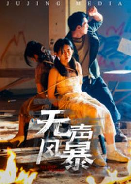 無聲風(fēng)暴(全集)