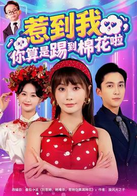 惹到我，你算是踢到棉花啦(全集)