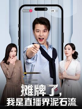 攤牌了，我是直播界泥石流(全集)